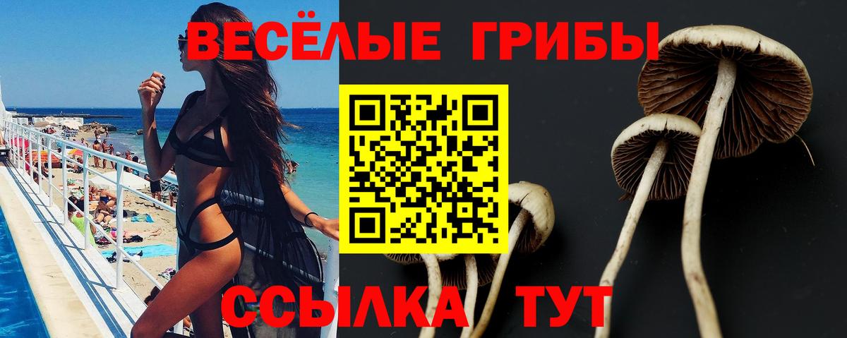 Псилоцибиновые грибы Psilocybine cubensis  Вход с VPN  Сыктывкар 